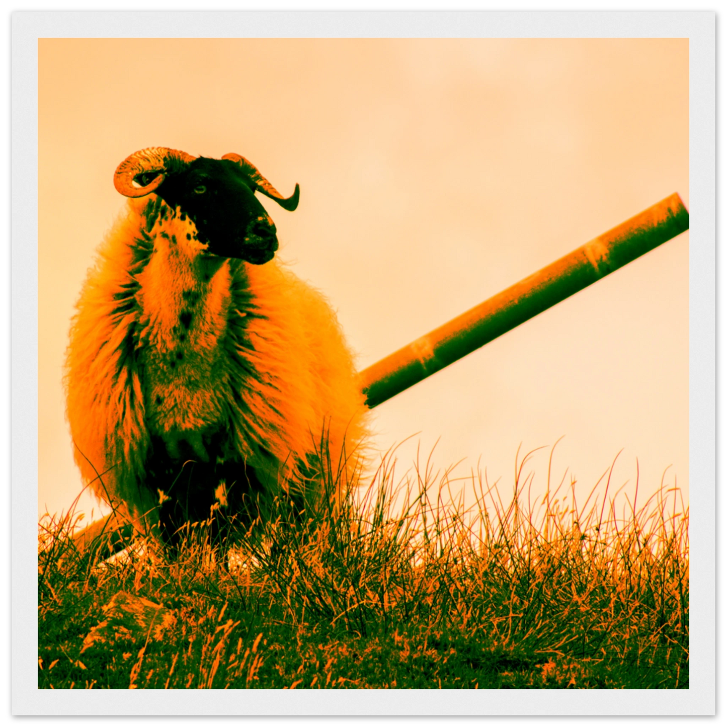 af846777-61fc-4dab-8811-4038715c52ab