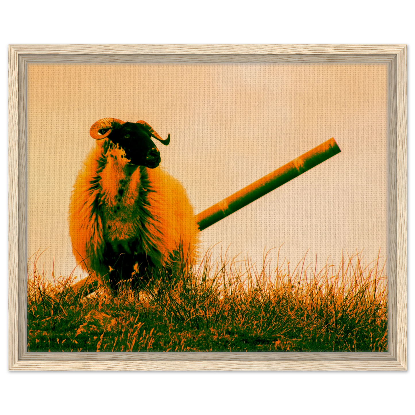 b1e3faac-8fc6-4875-b8c3-07419c62a57f