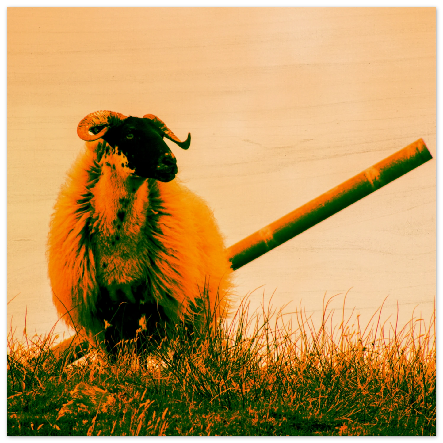 b4bd7fb1-6693-402a-996d-6c2298f60e41