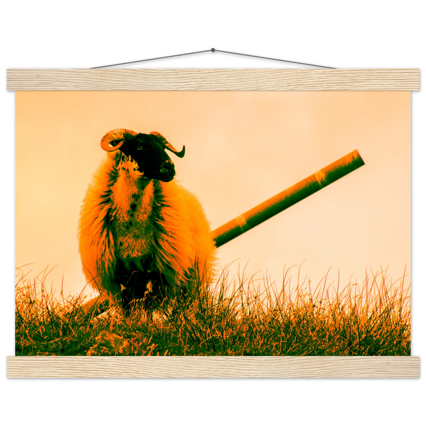 b5bb155a-bab0-478c-b7a2-b1f5a4700f26