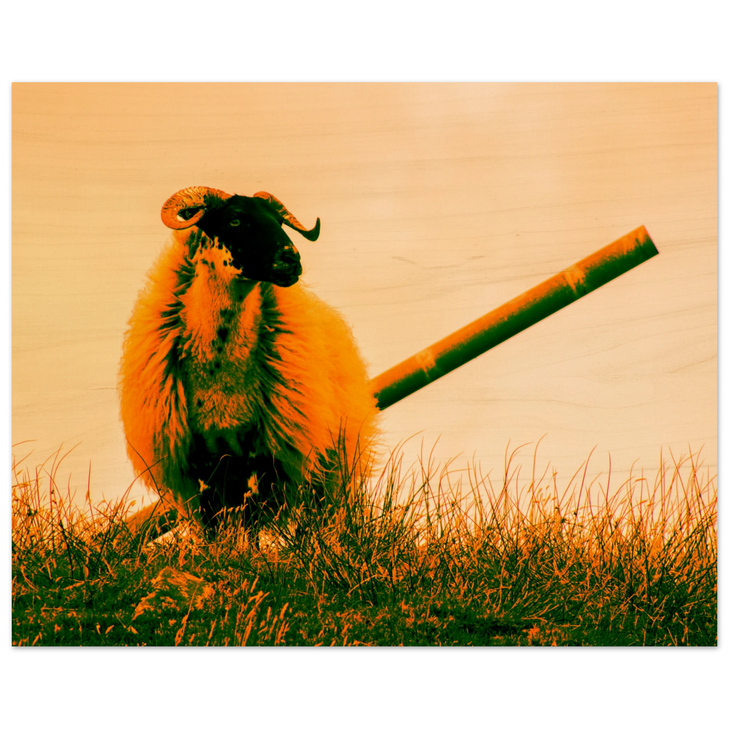 be389da0-8671-4f62-b10b-0d1a8439dd12