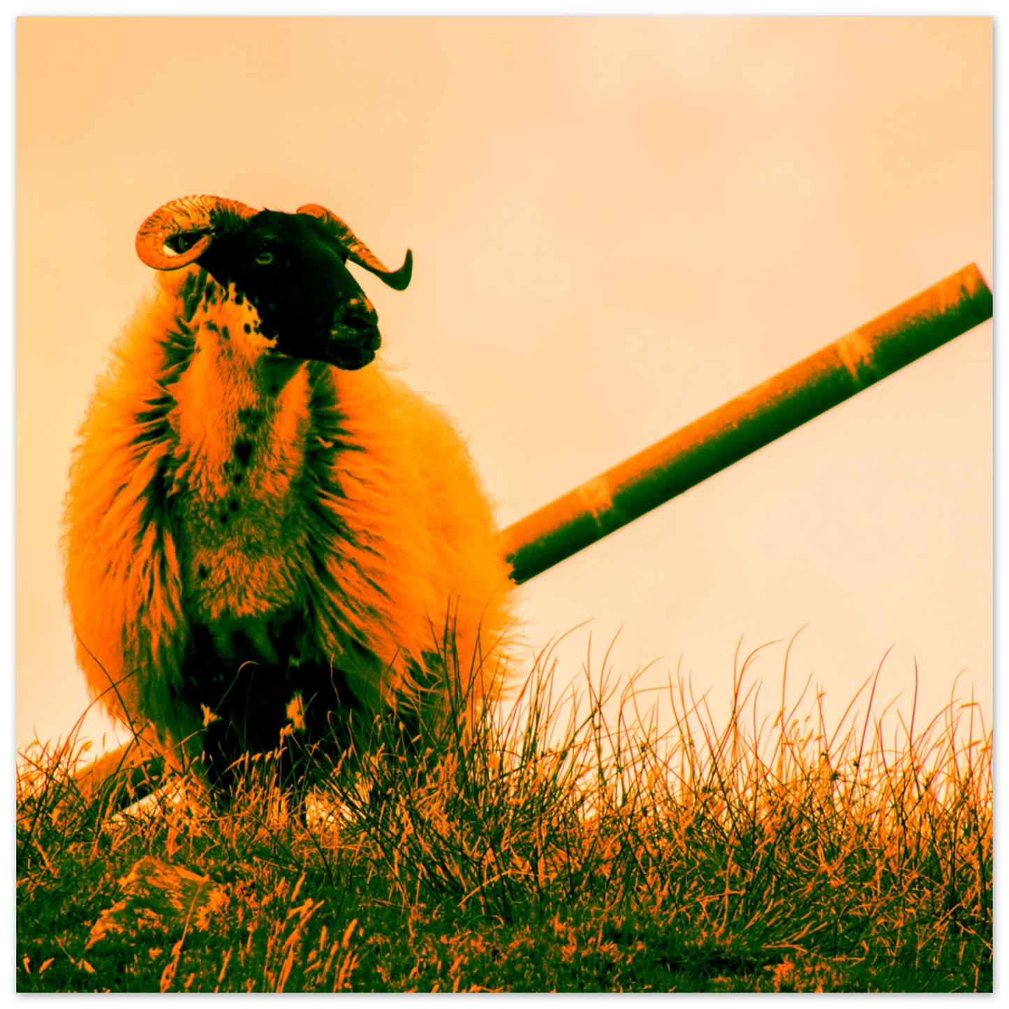 c922ee1f-813a-478a-9e1b-518256d60a1c