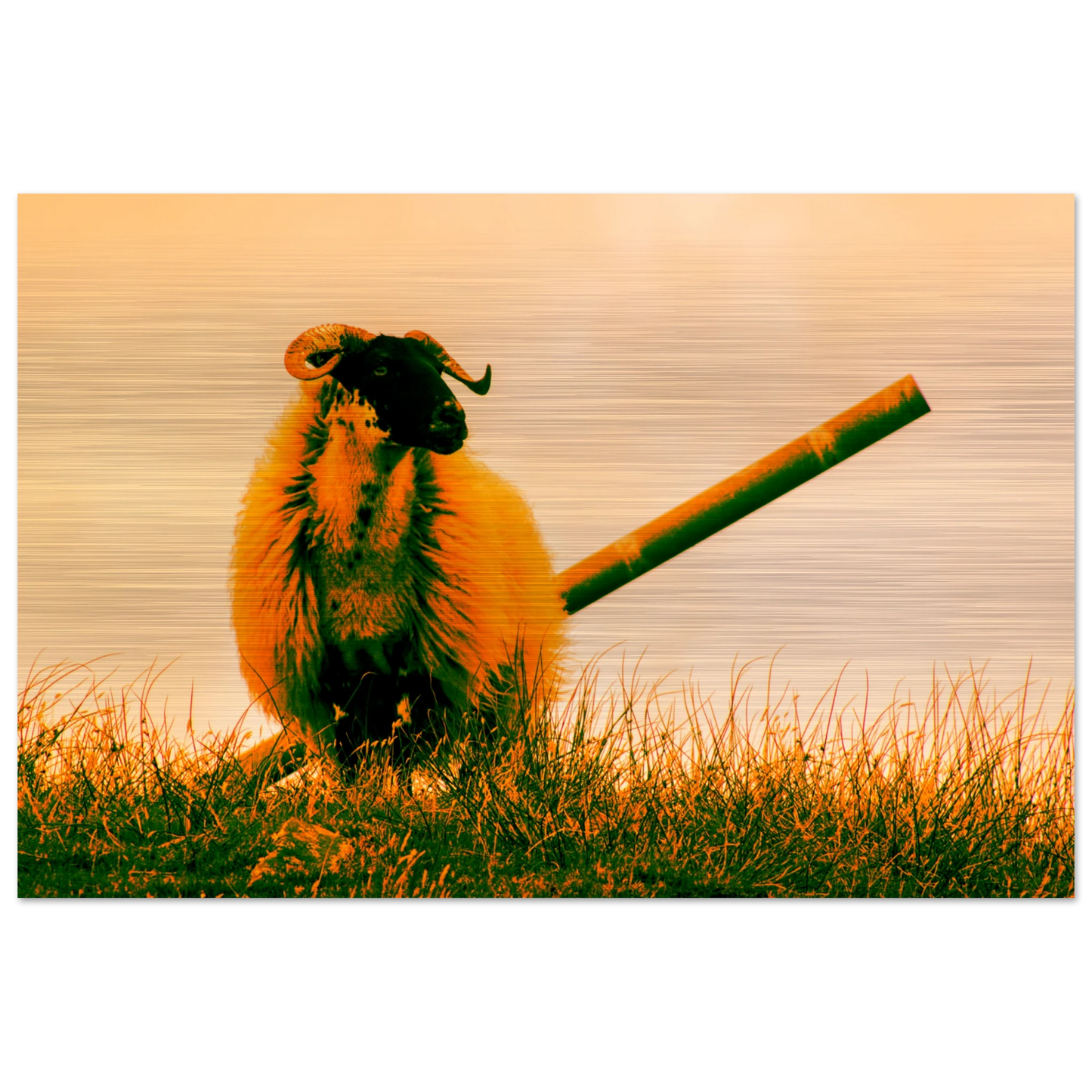 ca96ca37-74dd-491a-a162-06e145ed2f0f