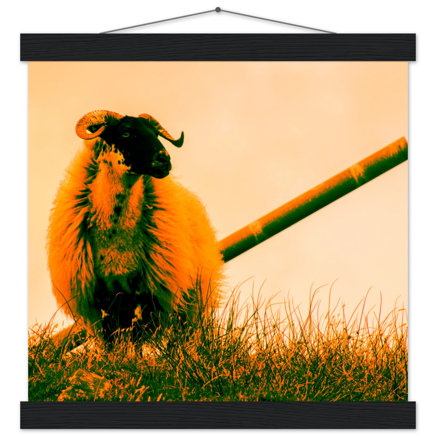 cfcb2293-d883-4313-95be-c880358c17ca