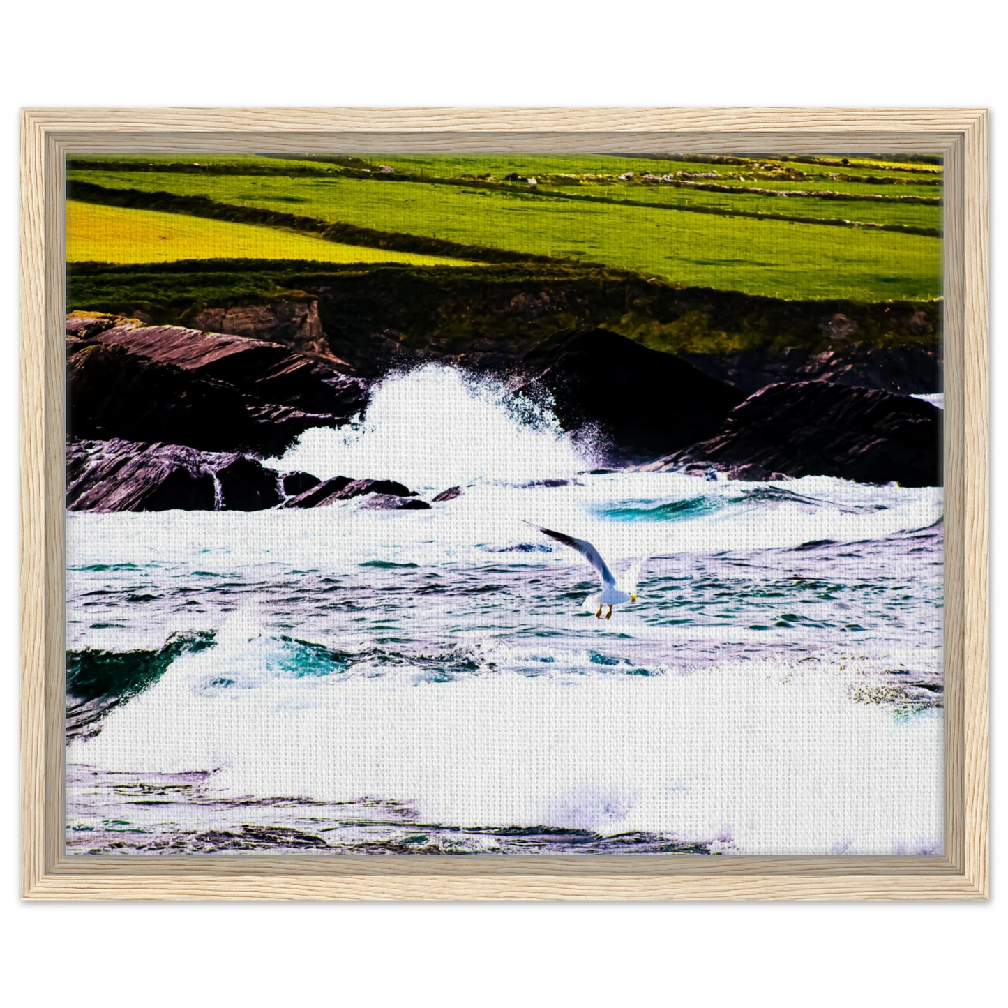 d0409c19-1cd5-48dc-b8c1-9c881502eb12