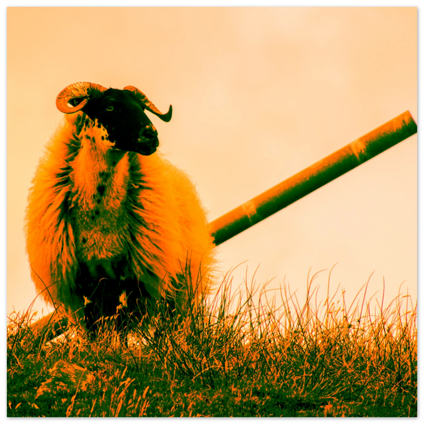 d0677363-9435-443f-b77d-eea570292047