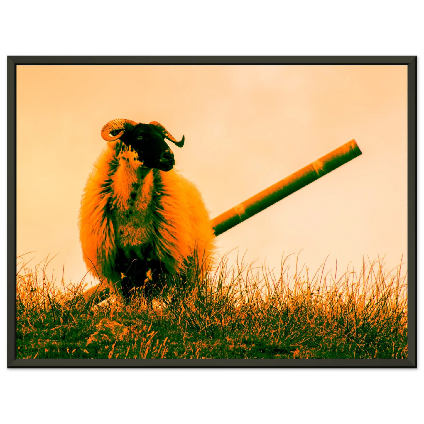 d4880d16-091f-487e-b6e1-1545cbd8725a