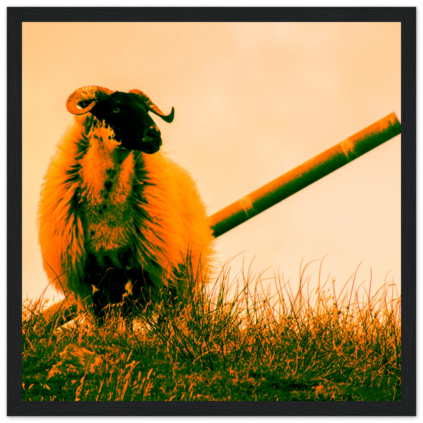 dbb4bcc2-4696-4b99-b006-72065709554e