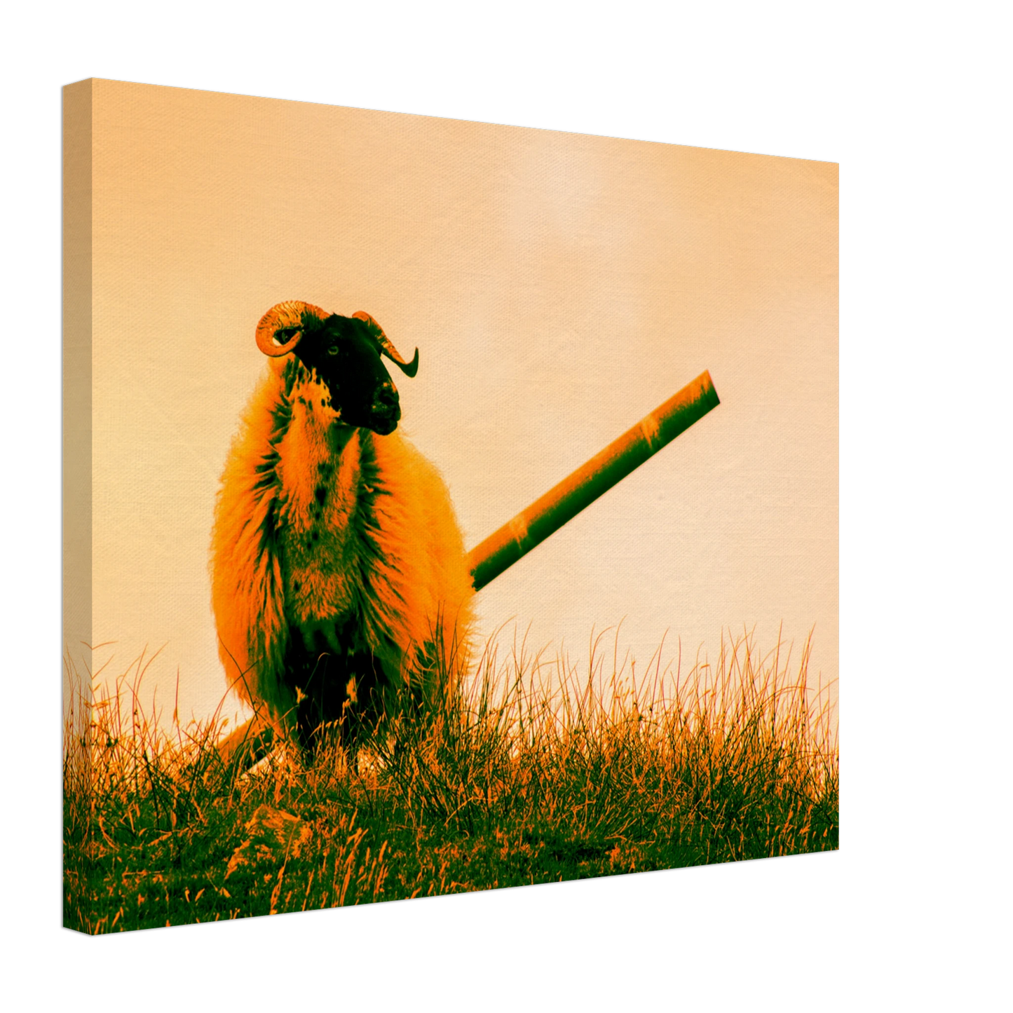 dc89cb0e-0a75-47a3-b4f1-5c94e2b6f7aa