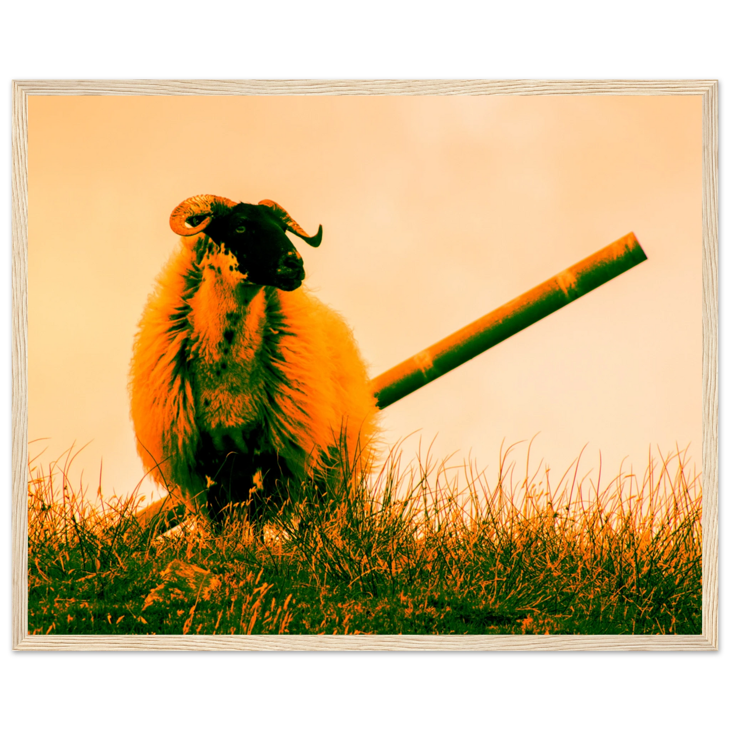 ddc5ae42-4abf-4deb-8c52-000f6e3f3722