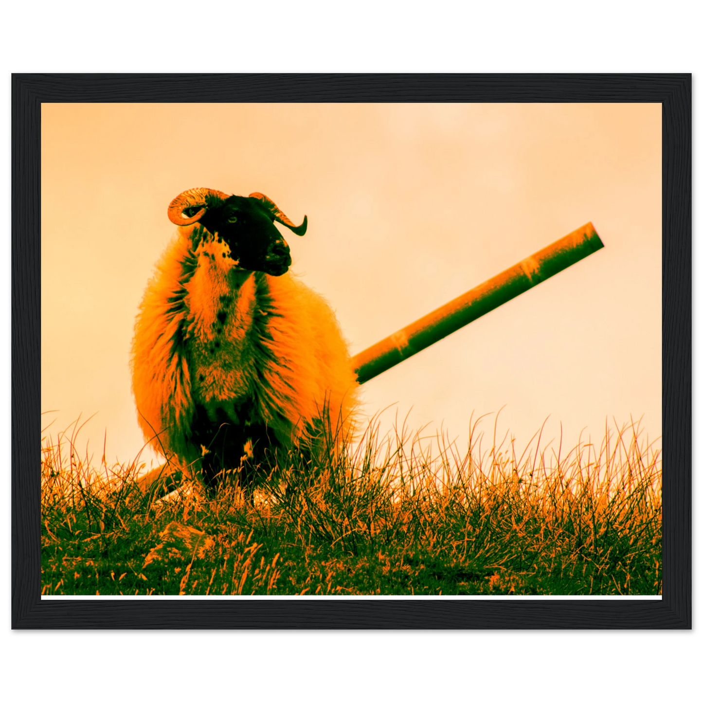 dff4f559-b0d1-4877-bc9d-ffee5ba341d2