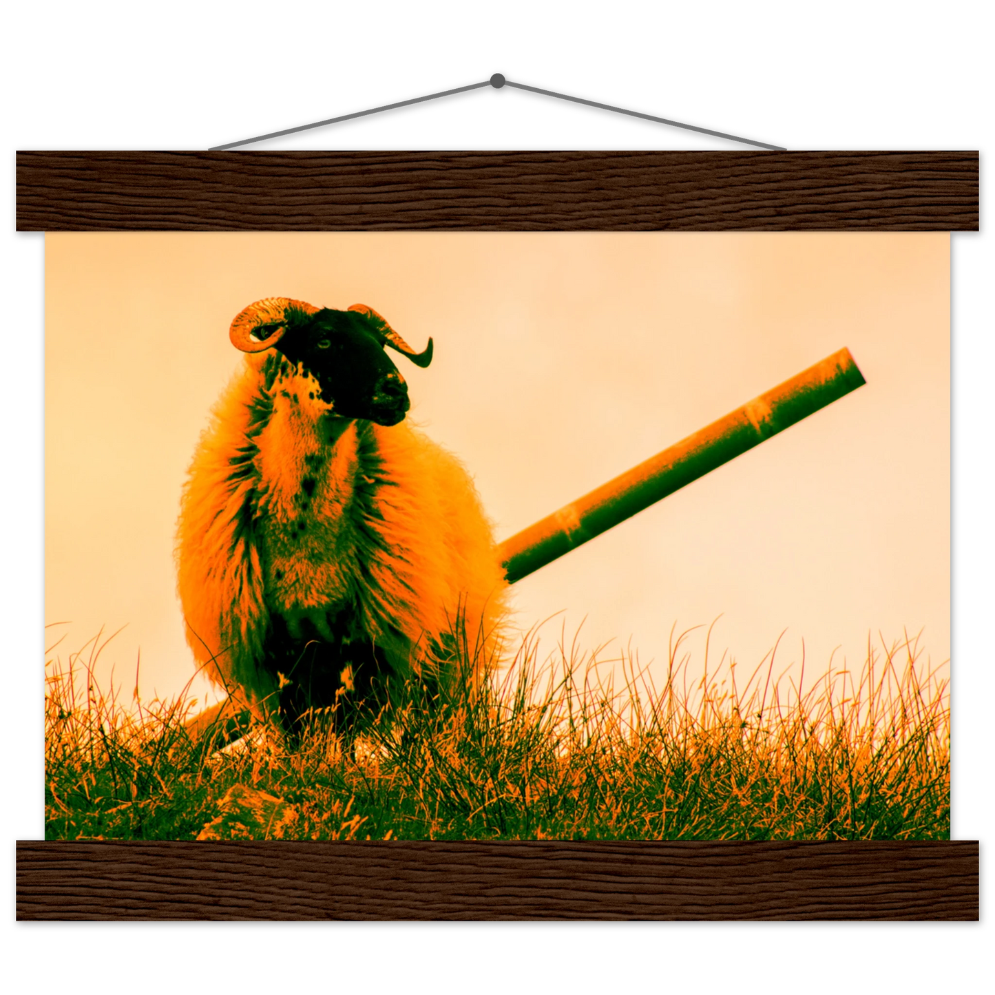 e257fa52-c3e7-4ab4-950a-2348bfb3a89a