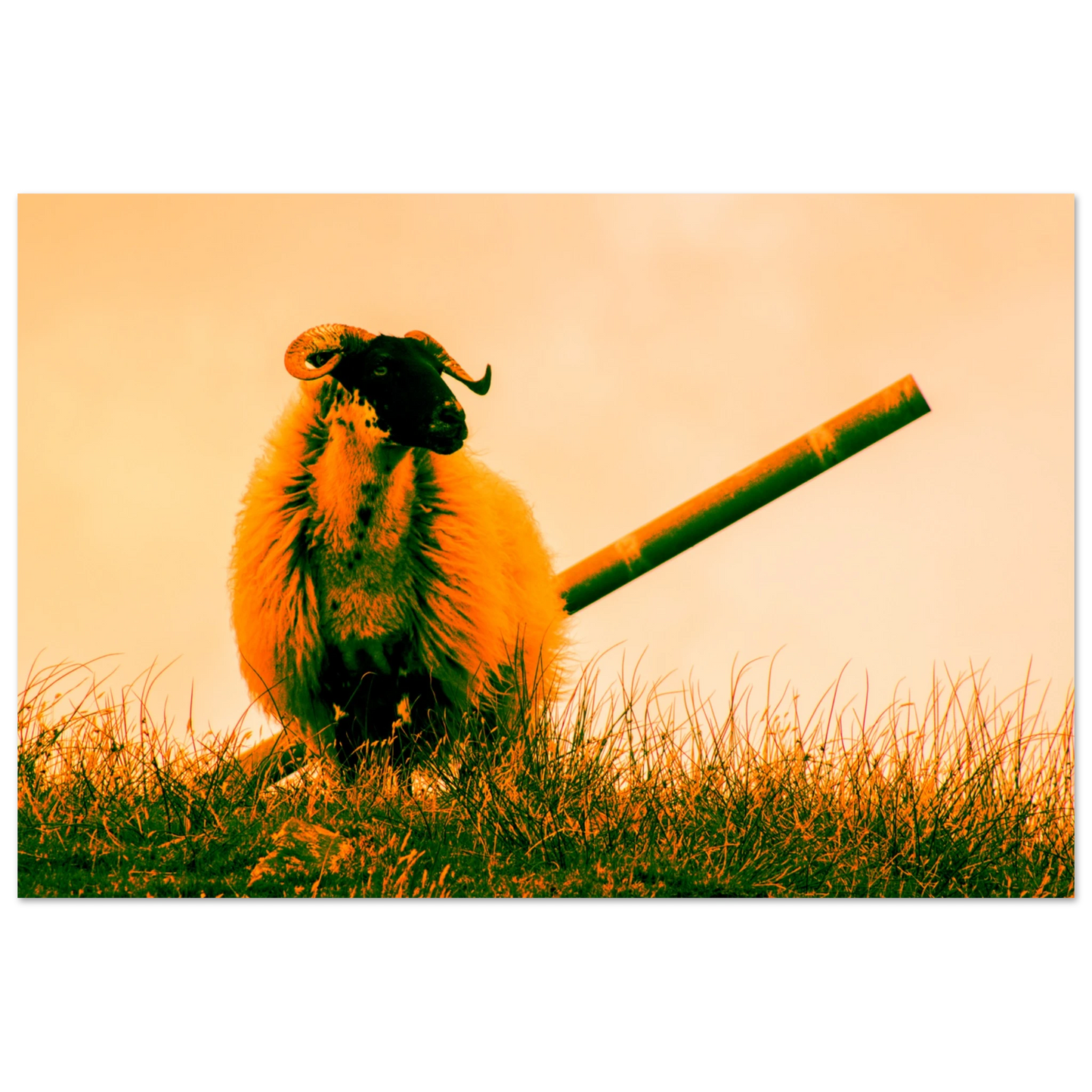 e74d4f51-224b-4950-aa73-5d7829f31356