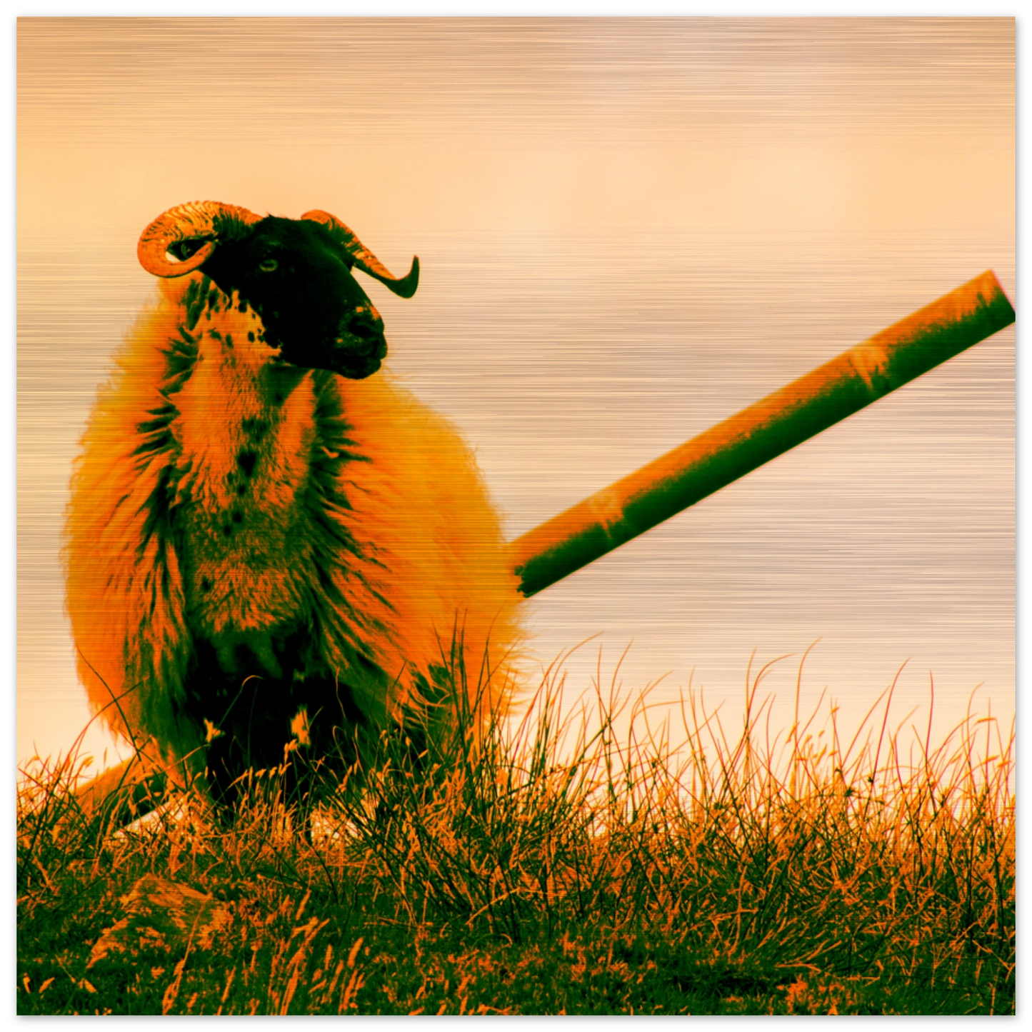 e7c3b798-d0a1-4d81-907e-104d90c13f51