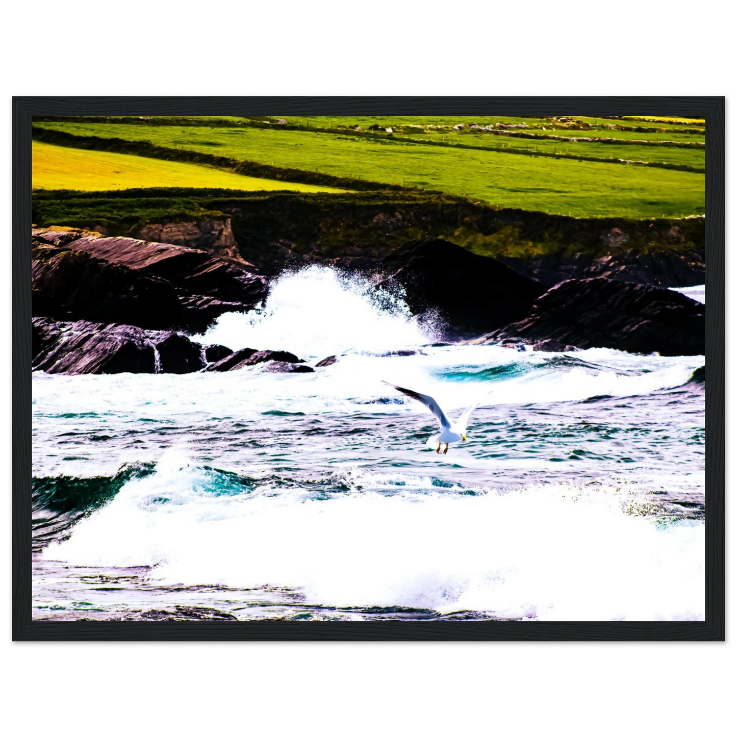 ee028369-b5e1-4044-92e6-26f96919a561