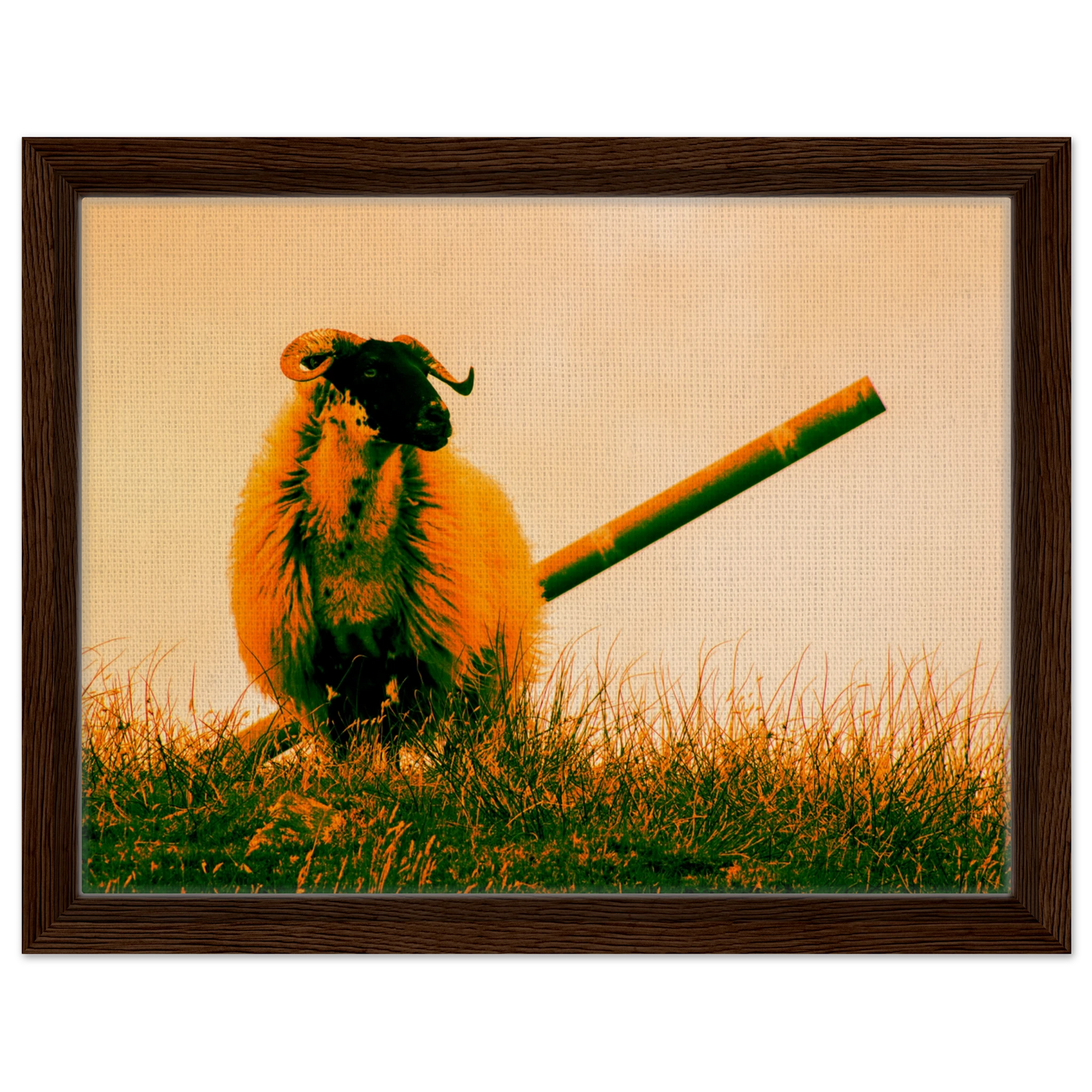 ef355732-63f3-4963-9aed-73debf21e9e8