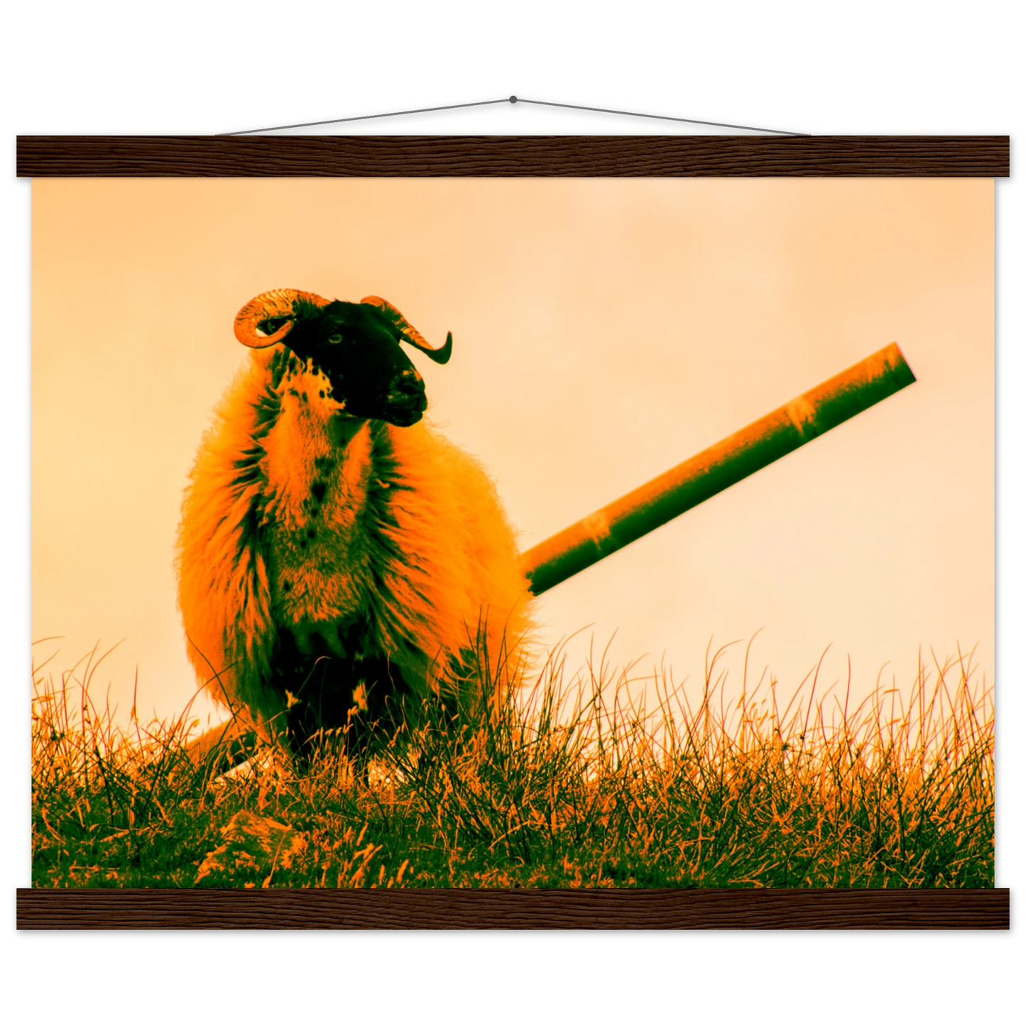 f019decd-3bf2-4229-ba2e-4a9aa3d2b803