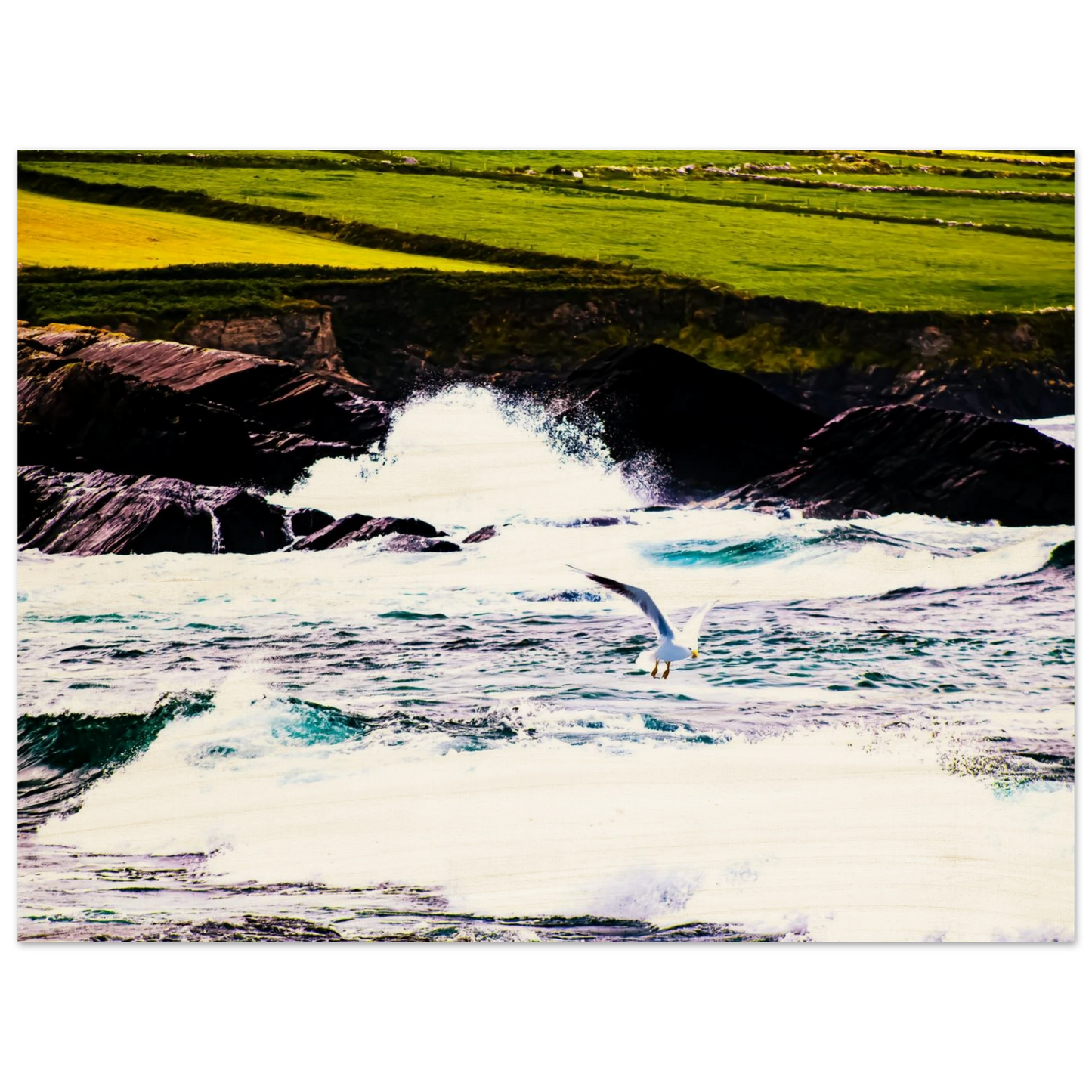 f65da5c7-fa36-4896-a185-52141481fcf2