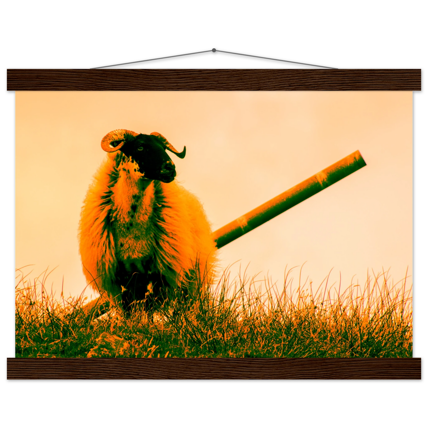 f7d36edf-cdf4-4e1a-819c-127a04db886e