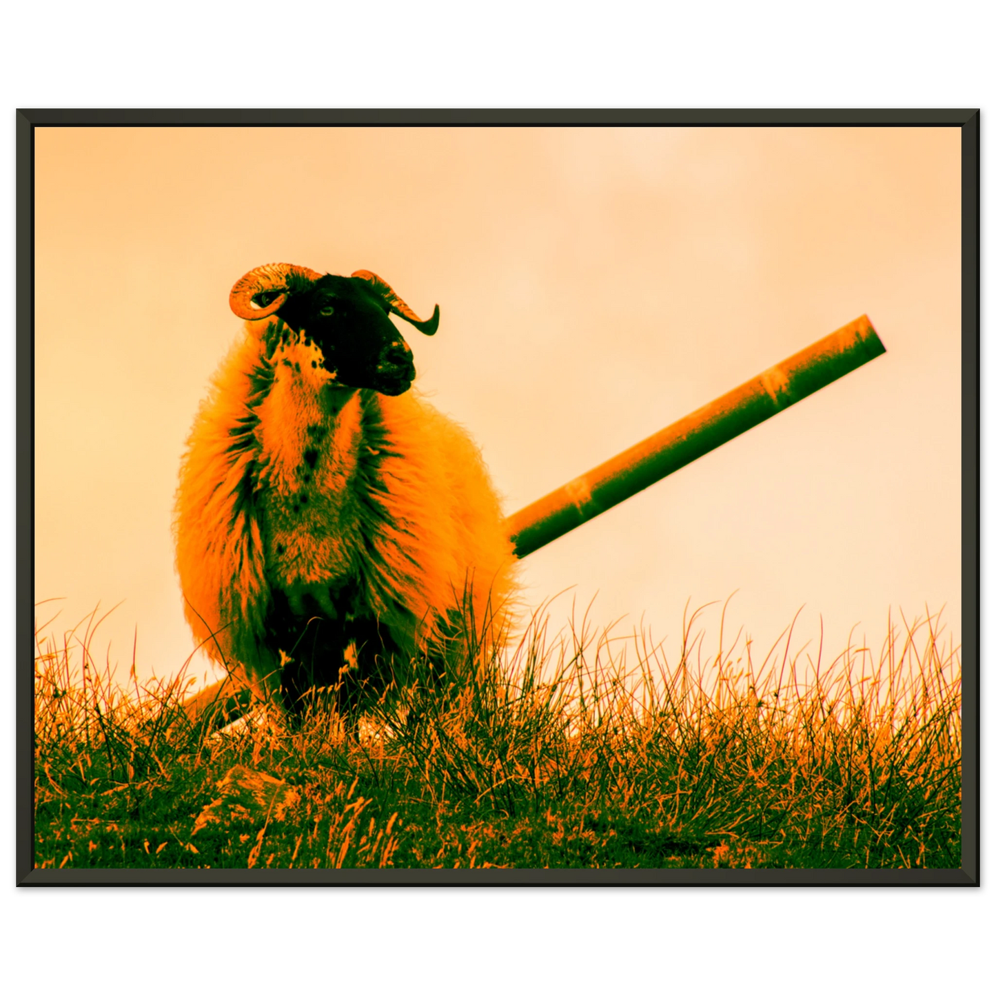 fc3e7815-10fc-41c7-b4dc-25c00099d8bd