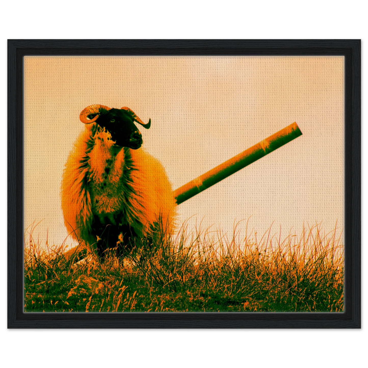 fd5358a3-d9f8-426e-83b2-df007f2c6fb5