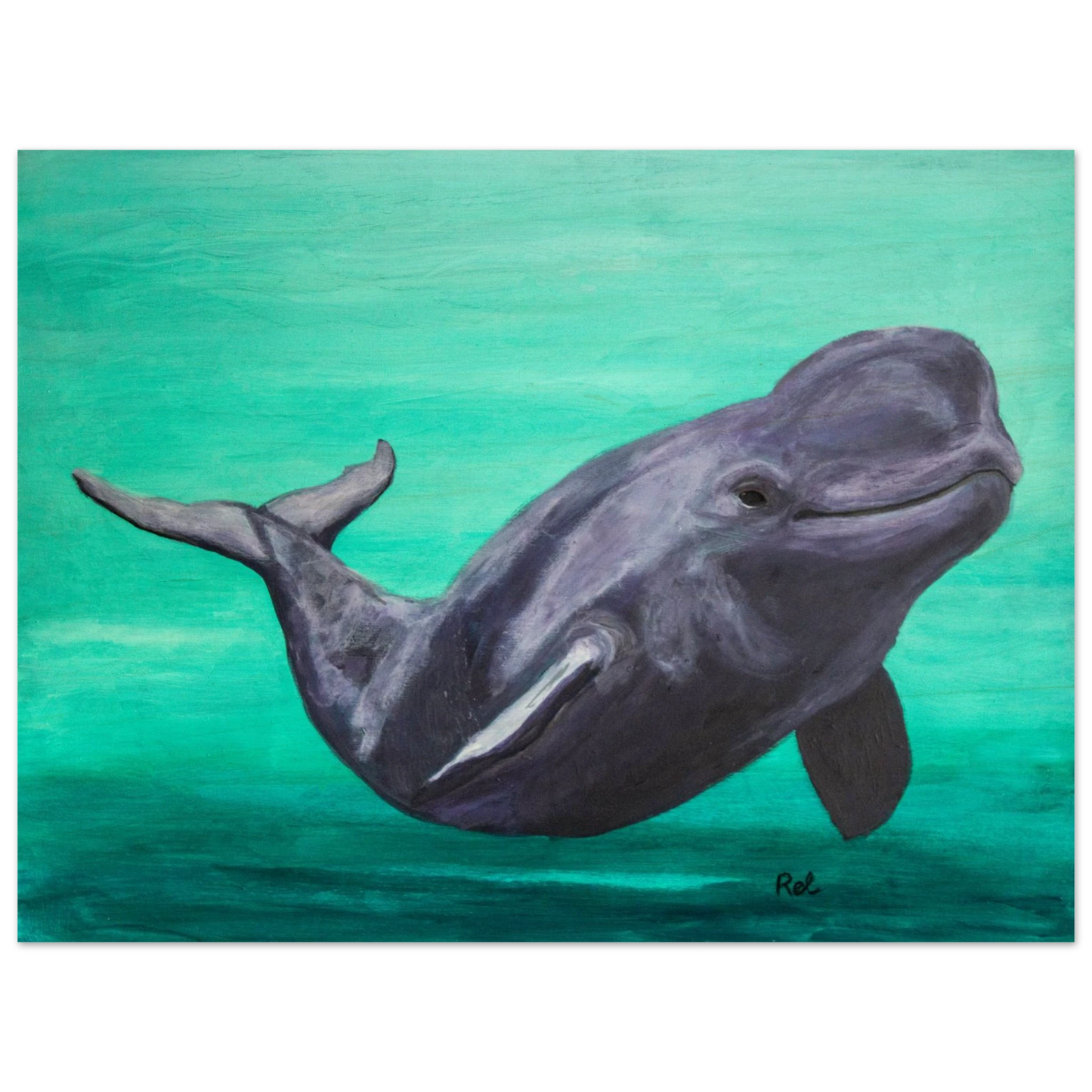 feca68f0-2e4a-41a4-9cce-1e390737ae0e